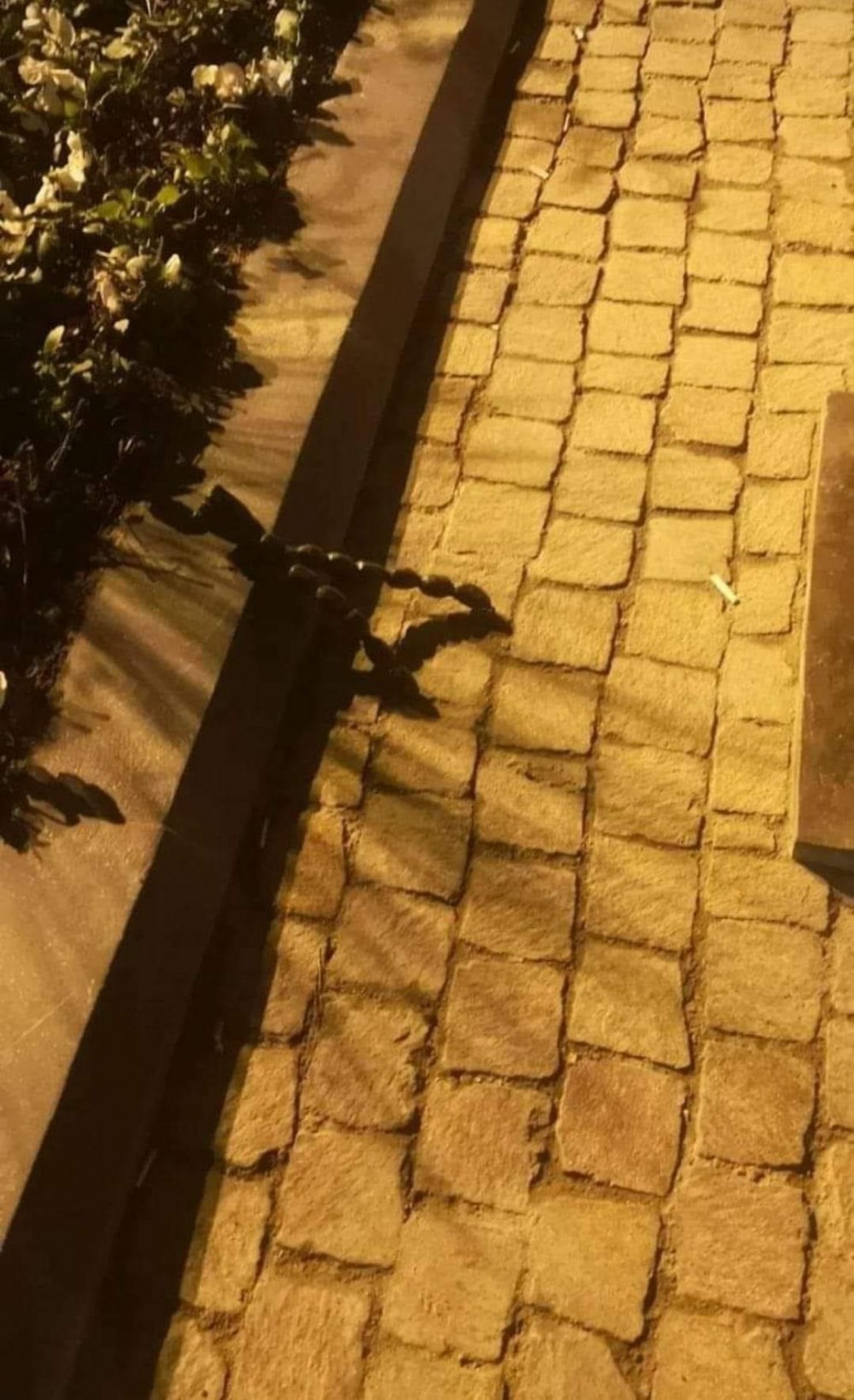 Tağıyevin yeni açılan heykəlini görün nə günə qoydular -Ölkə polisi hərəkətə keçdi (YENİLƏNİB+ FOTO)