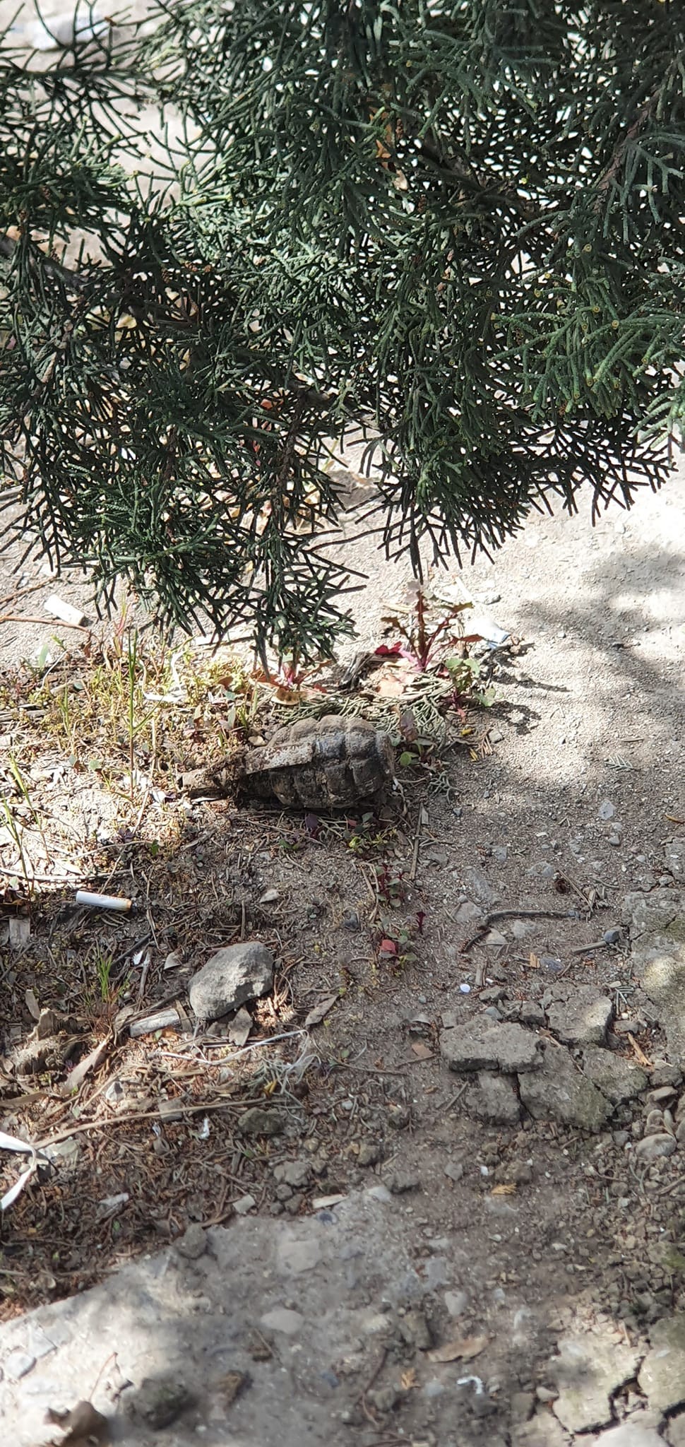 “Qanun” nəşriyyatının yanında HƏYACANLI ANLAR:qumbara...