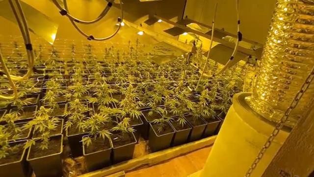 Böyrəyini satıb, narkotik emalatxanası açdı - Polis gördüyü mənzərə qarşısındaŞOK DÜŞDÜ  (VİDEO/FOTO)