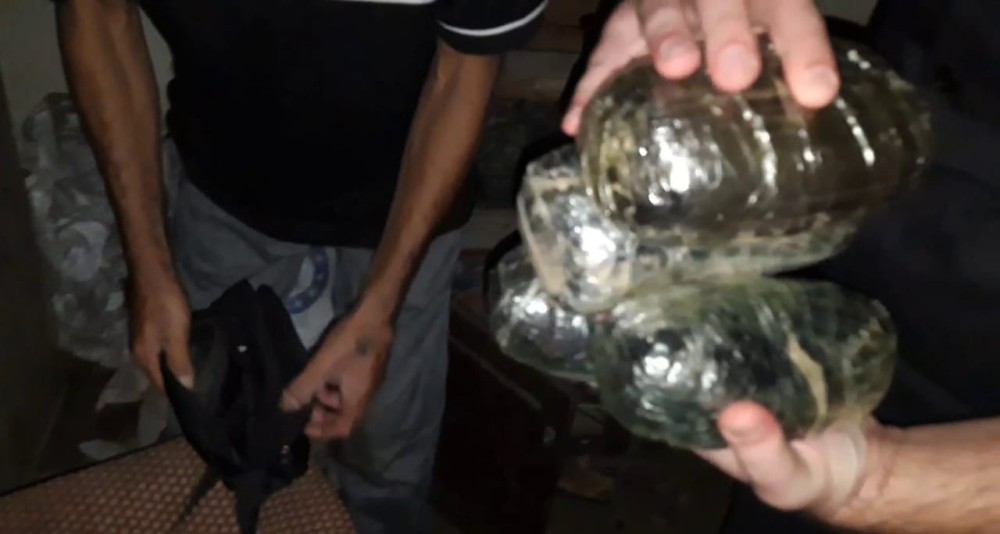 Bu rayonda BÖYÜK ƏMƏLİYYAT:22 nəfər saxlanıldı (FOTO)