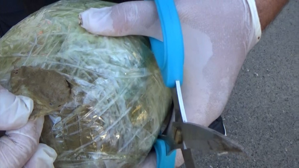 İki rayonda ƏMƏLİYYAT:20-dən çox saxlanılan var (FOTO)