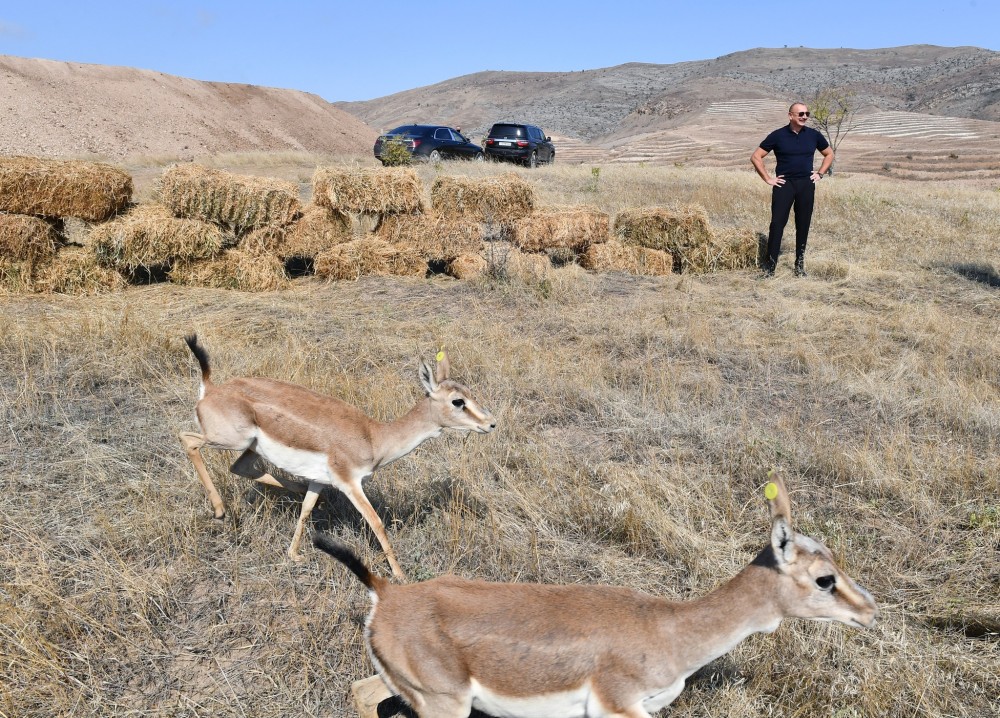 Prezidentlə xanımının Cəbrayıl, Qubadlı və Zəngilana səfərindən- FOTOLAR
