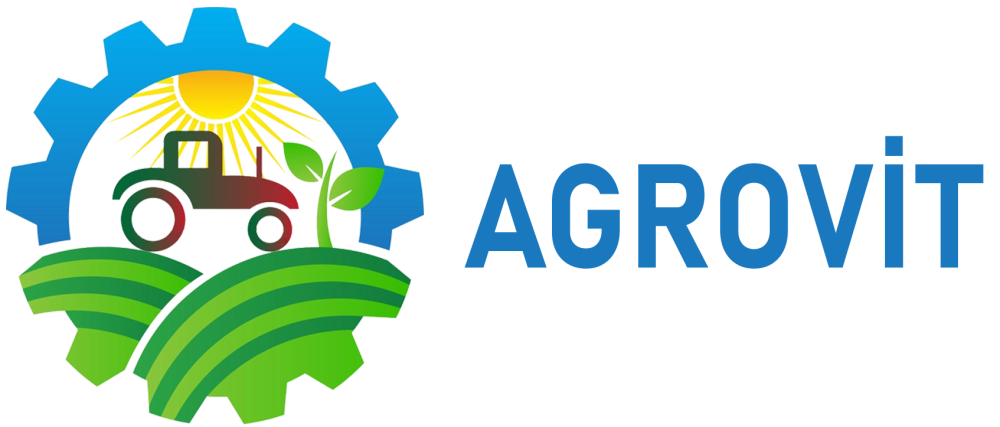 Sabiq bələdiyyə sədrinin şirkətiGömrükdə QAYDA POZDU