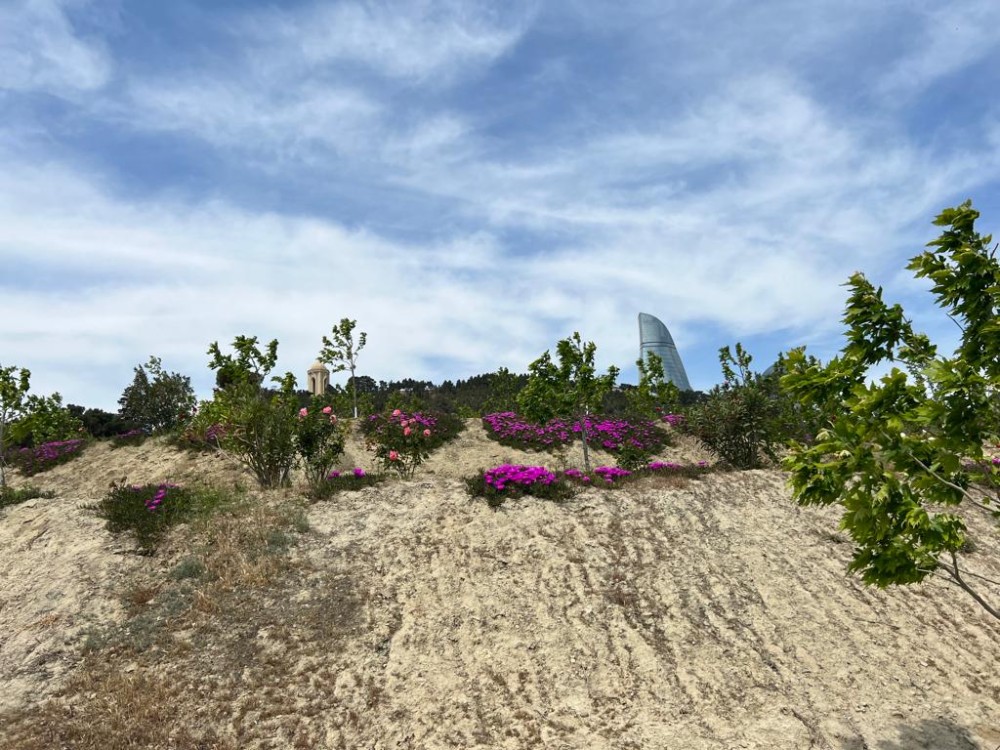 Bakının ən yaşıl parkındanFOTOREPORTAJ