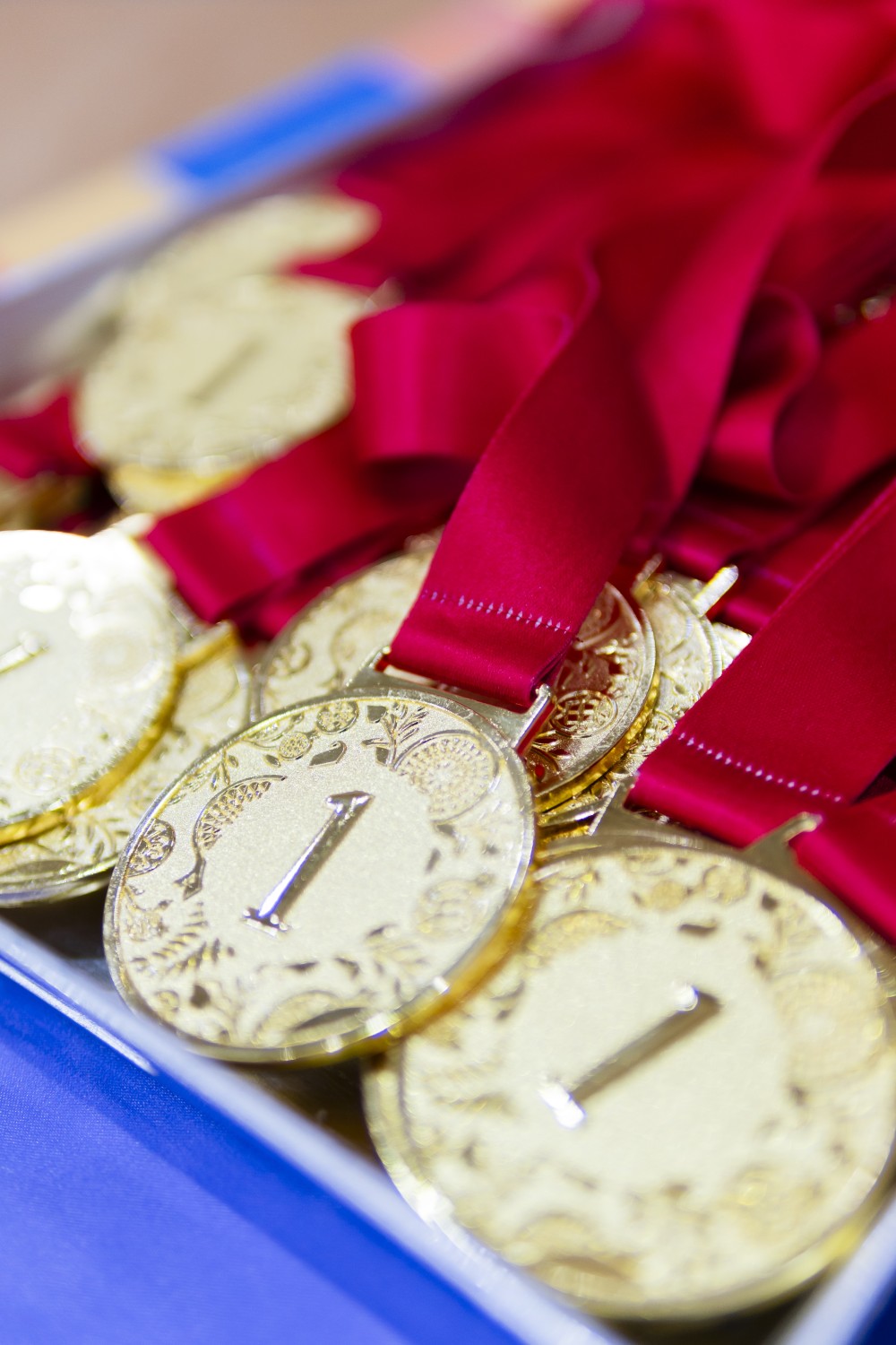 “ProSport Winter Cup” yarışının qalibləri mükafatlandırıldı