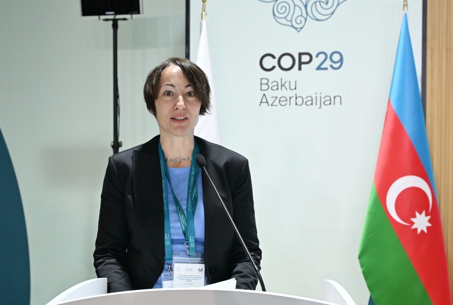 Bakıda COP29 çərçivəsində keçirilən Parlament Görüşü davam edir -FOTOLAR