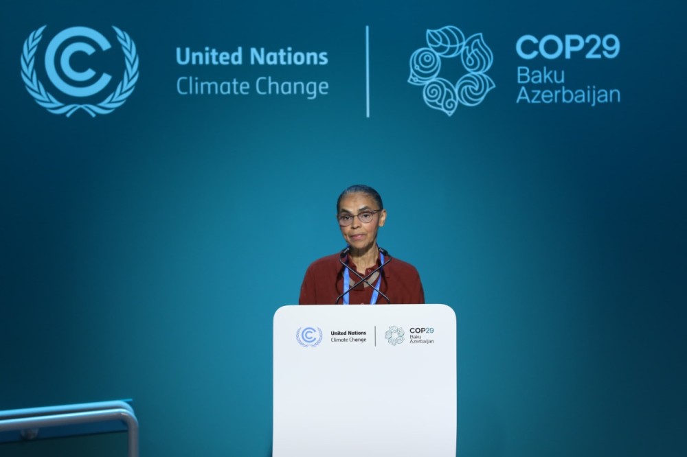 Azərbaycanda meşəçiliklə bağlı beynəlxalq konfrans keçiriləcək - Fotolar