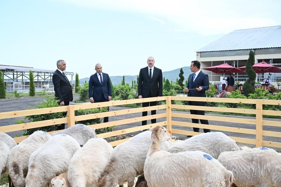 Prezident Xocalıda daha bir kompleksin açılışını etdi -YENİLƏNİB