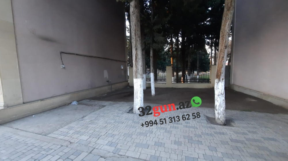 Ağstafada şəhərin mərkəzində "Yaşıl Terror" -/ Ekologiya və Təbii sərvətlər Nazirliyinin idarəsi hara baxır? (VİDEO + FOTO)