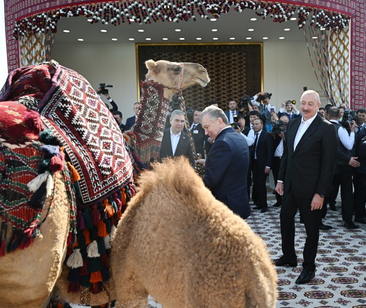 İlham Əliyevə “Axaltəkə” atı hədiyyə edildi- VİDEO+FOTOLAR