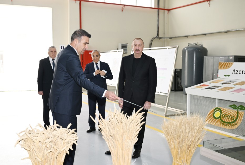 Dövlət başçısı Sabirabadda toxum istehsalı müəssisəsinin fəaliyyəti ilə tanış oldu - FOTOLAR