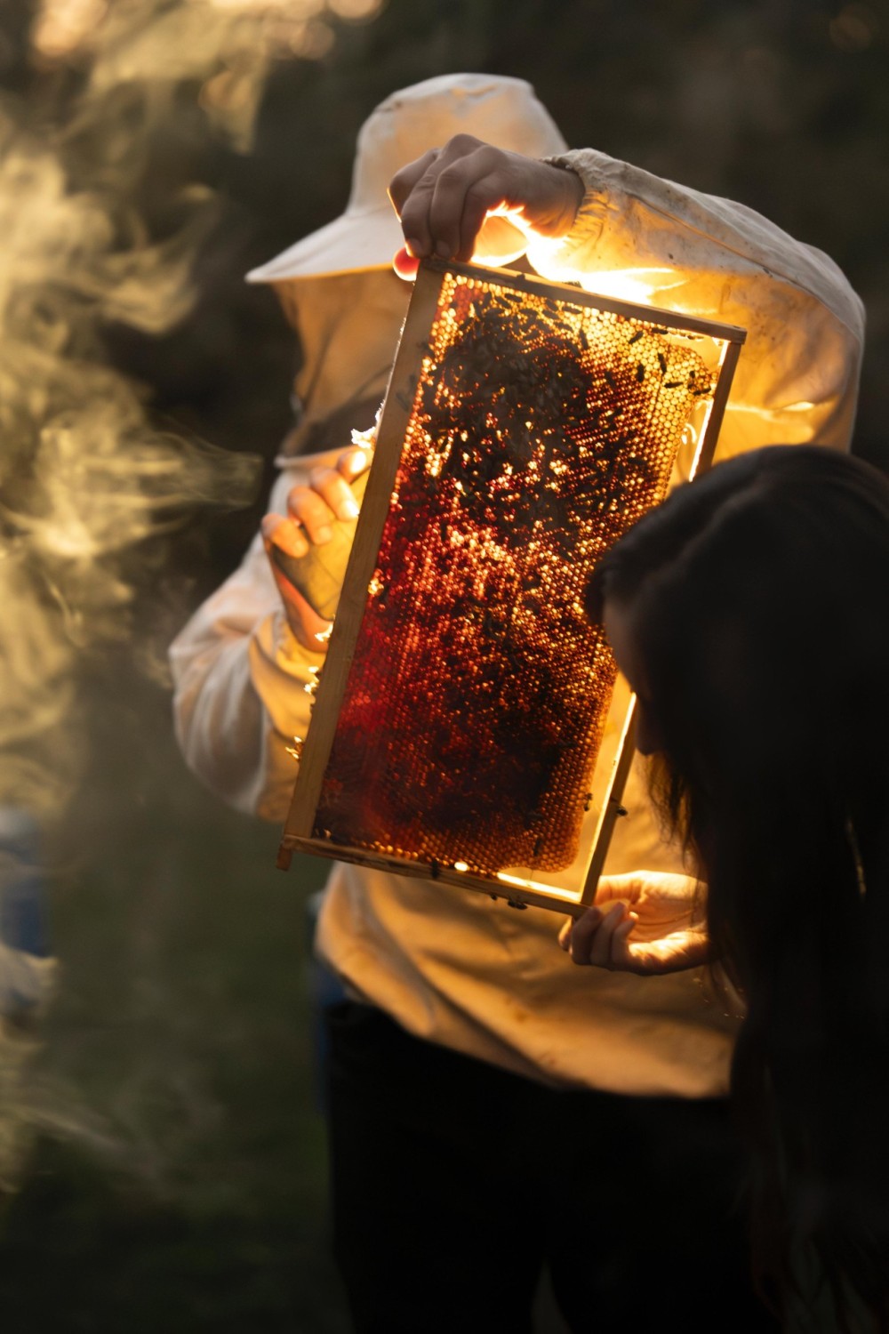 Leyla Əliyeva “Gənc arıçı” layihəsinin iştirakçısı ilə görüşdü -FOTOLAR