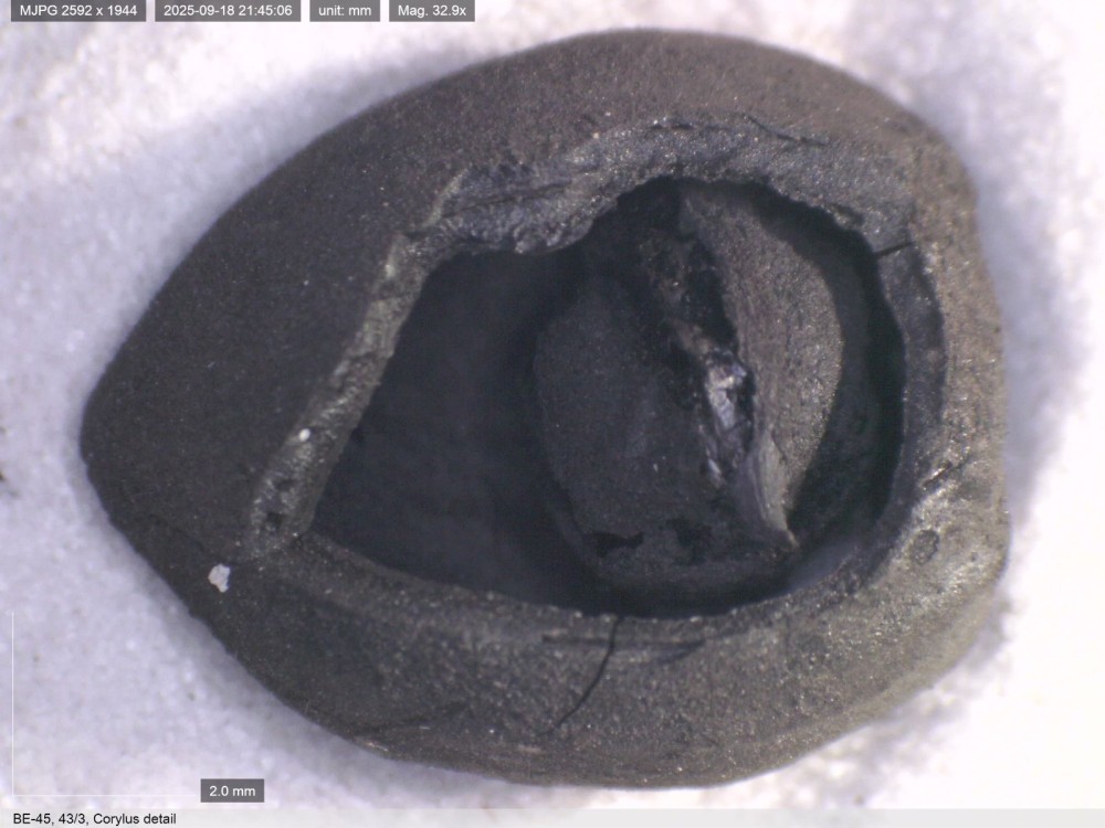 Qədimdən bu günə qədər gələn Türkiyə çörək irsi – Fotolar