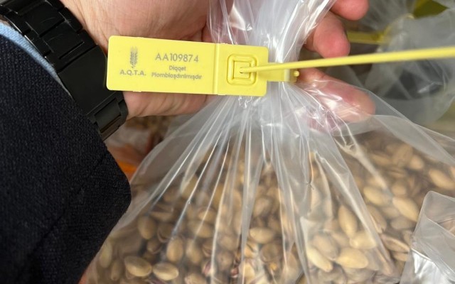 6 tondan çox antep fıstığı məhv ediləcək - FOTO