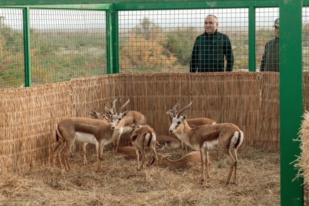 Leyla Əliyeva Mingəçevirdə ekoloji aksiyalarda -FOTOLAR