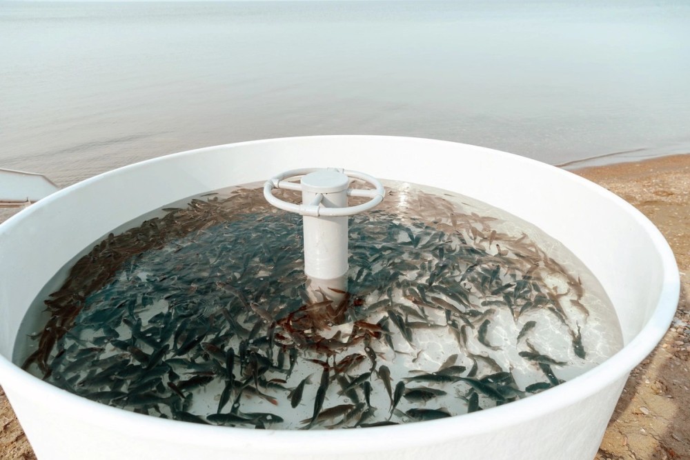 Leyla Əliyeva Mingəçevirdə ekoloji aksiyalarda -FOTOLAR