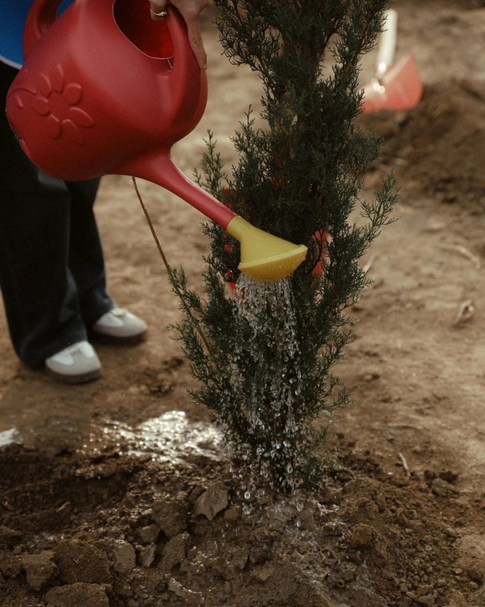Leyla Əliyeva Mingəçevirdə ekoloji aksiyalarda -FOTOLAR