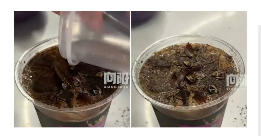 Pekində “tarakanlı kofe” satışa çıxarıldı