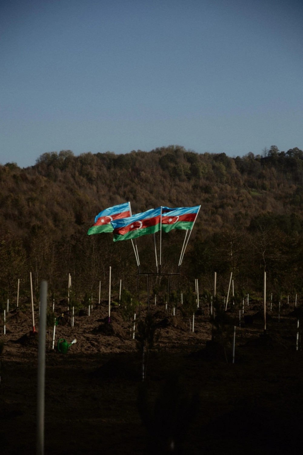 Leyla, Arzu və Alena Əliyevalar ekoloji aksiyalarda -FOTOLAR